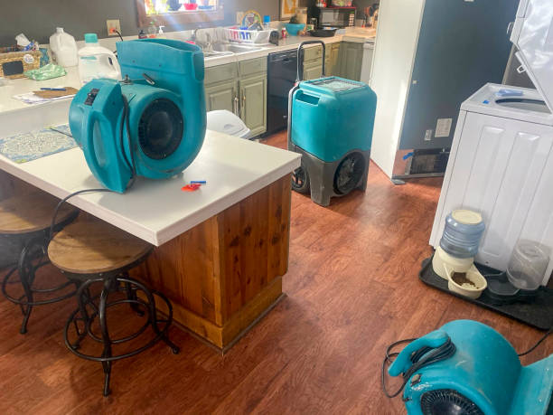 Best Sewage cleanup and water damage restoration  in Granite Falls, WA